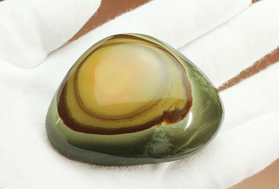 目玉の親父！？いえいえ、その答えは・・・鉱物ポリクロームジャスパー