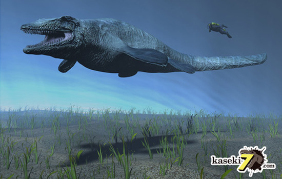 幅広!海のティラノサウルスの異名をもつ、白亜紀モササウルスの歯化石(Msasaurus)(その3)