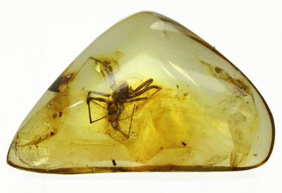 鮮明!肉眼で見られます。クモ入り、バルト海産虫入り琥珀(Amber)(その2)