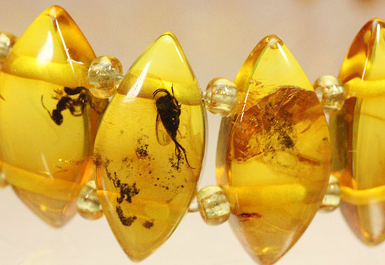 あなたはこのブレスレットをつける勇気があるか！？アリも見られます