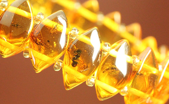 あなたはこのブレスレットをつける勇気があるか!?アリも見られます!オール虫入り琥珀を26個贅沢に使用した、バルティックアンバーブレスレット(Amber)(その18)