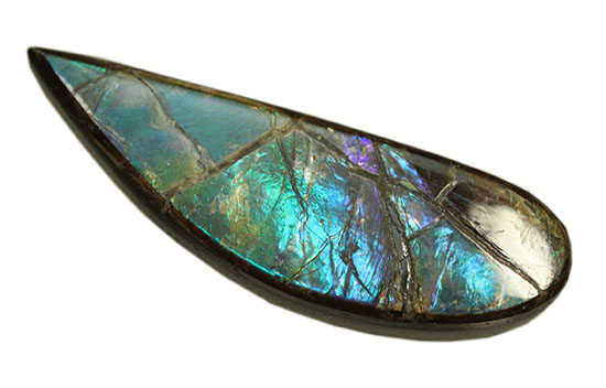 青、緑、紫・・・刻々と変化する色を楽しめる、しずく型のカナダアルバータ州産アンモライト(Ammolite)（その1）