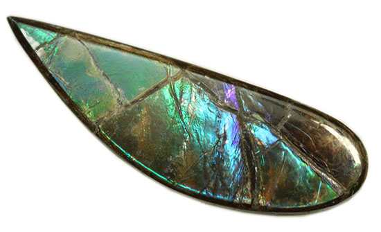 青、緑、紫・・・刻々と変化する色を楽しめる、しずく型のカナダアルバータ州産アンモライト(Ammolite)（その2）