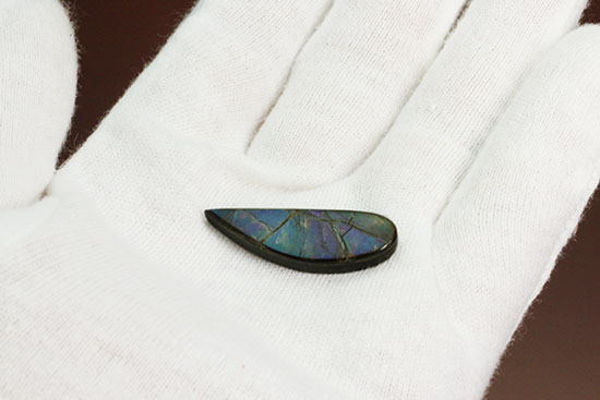 青、緑、紫・・・刻々と変化する色を楽しめる、しずく型のカナダアルバータ州産アンモライト(Ammolite)（その4）