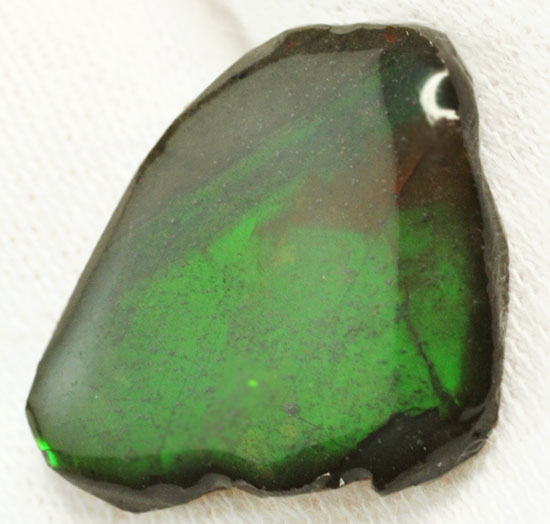 濃い緑色！カナダアルバータ州産アンモライト(Ammolite)（その7）
