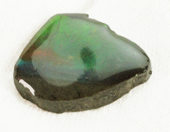 濃い緑色！カナダアルバータ州産アンモライト(Ammolite)（その9）
