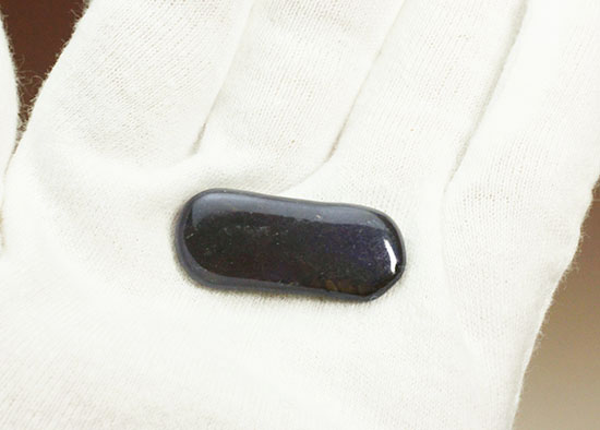 丸みを帯びた青色アンモライト、白亜紀カナダアルバータ州産(Ammolite)（その3）