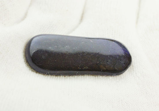 丸みを帯びた青色アンモライト、白亜紀カナダアルバータ州産(Ammolite)（その4）