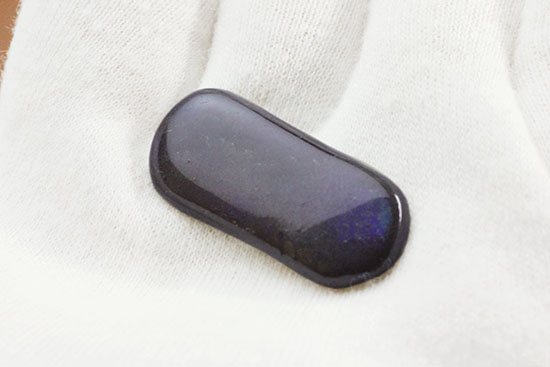 丸みを帯びた青色アンモライト、白亜紀カナダアルバータ州産(Ammolite)（その5）