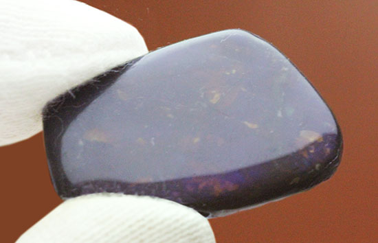 上品な紫色!カナダアルバータ州産アンモライト(Ammolite)(その1)