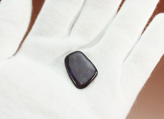 上品な紫色!カナダアルバータ州産アンモライト(Ammolite)(その4)