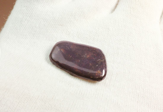 上品な紫色!カナダアルバータ州産アンモライト(Ammolite)(その5)