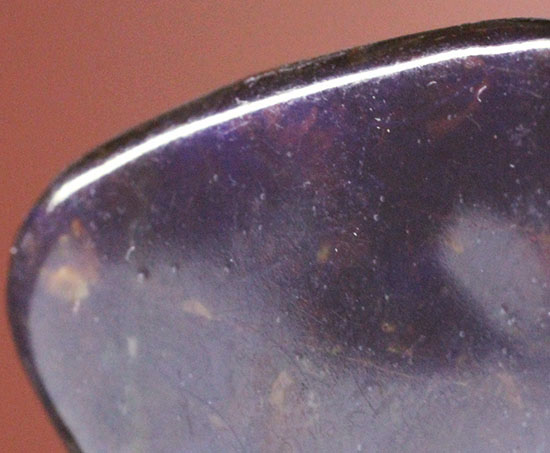 上品な紫色！カナダアルバータ州産アンモライト(Ammolite)（その7）
