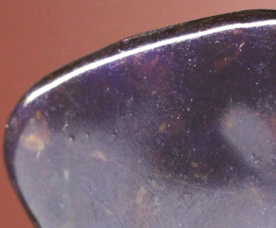 上品な紫色!カナダアルバータ州産アンモライト(Ammolite)(その7)