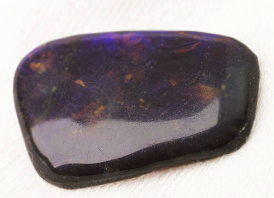 上品な紫色！カナダアルバータ州産アンモライト(Ammolite)（その8）