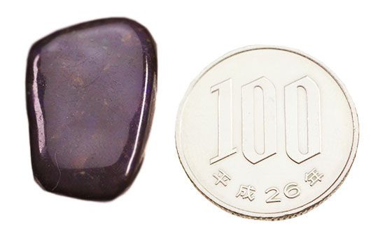 上品な紫色！カナダアルバータ州産アンモライト(Ammolite)（その9）
