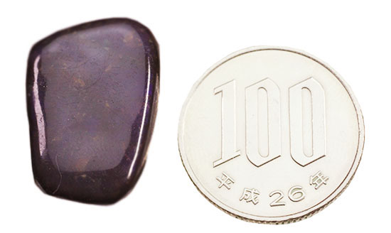 上品な紫色!カナダアルバータ州産アンモライト(Ammolite)(その9)