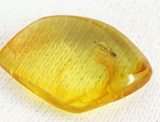 透明感が抜群。蟻が１匹内包された、約4000万年前のバルト海産琥珀(Amber)（その2）