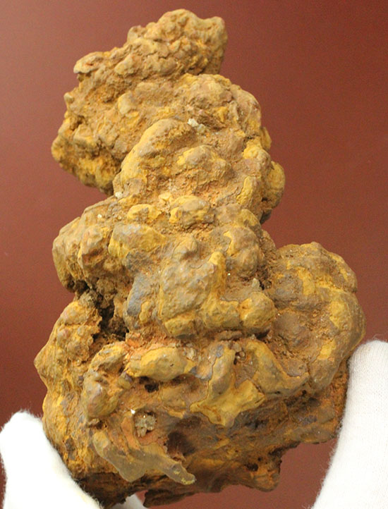 巨大水棲生物のモノと思しき、巨大な糞化石(コプロライト)サイズ、状態、形、テクスチュアともに申し分なし!(その5)
