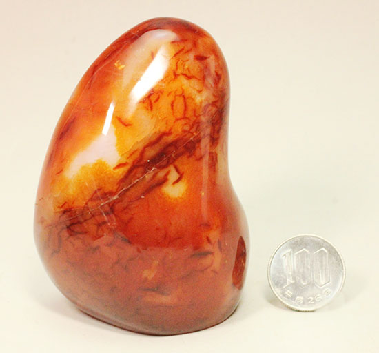古代より宝石として利用されてきた紅玉髄（カーネリアン）。300g超、大きい！/Unknown 化石セブンスマホ専用サイト