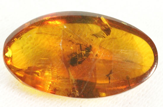 3千万年前の虫を内包したドミニカ産の虫入り琥珀(Amber)（その3）