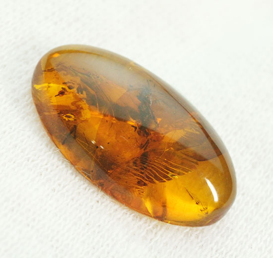 3千万年前の虫を内包したドミニカ産の虫入り琥珀(Amber)（その5）