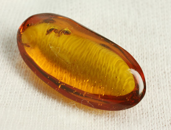 アリが内包されている透明度の高いドミニカ産の虫入り琥珀(Amber)（その4）