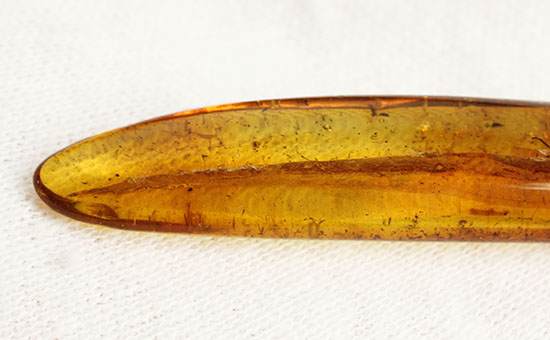 羽虫を内包したバルト海産の琥珀(Amber)（その6）