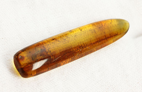羽虫を内包したバルト海産の琥珀(Amber)（その7）