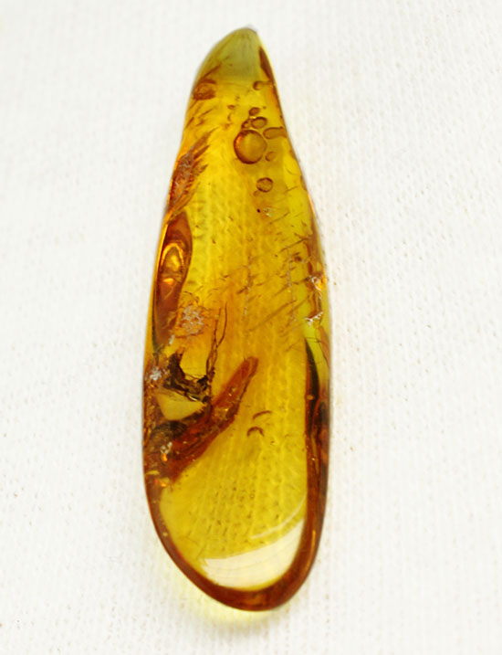 羽虫を内包した、透き通るような黄色をしたバルト海産の琥珀(Amber)（その4）