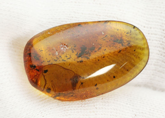 ブランド産地バルト海産の琥珀(Amber)美しい飴色。（その4）