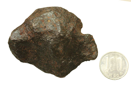 サービスプライス！今話題の鉄隕石カンポ・デル・シエロ 隕石 販売