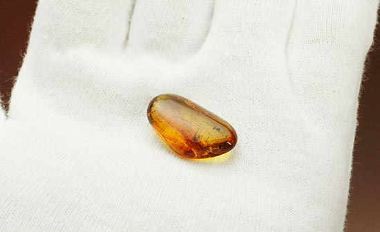数え切れないほどのコバエを内包したバルト海産の虫入り琥珀(Amber