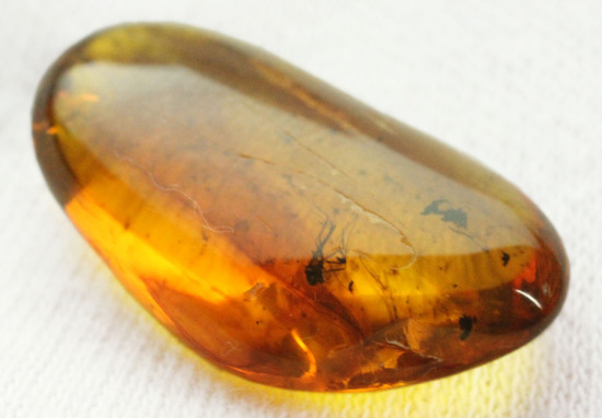 数え切れないほどのコバエを内包したバルト海産の虫入り琥珀(Amber