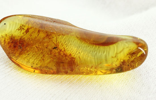 虫が一匹内包されています!バルト海産の虫入り琥珀(Amber)(その4)