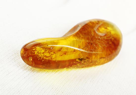 虫が一匹内包されています！バルト海産の虫入り琥珀(Amber)（その7）