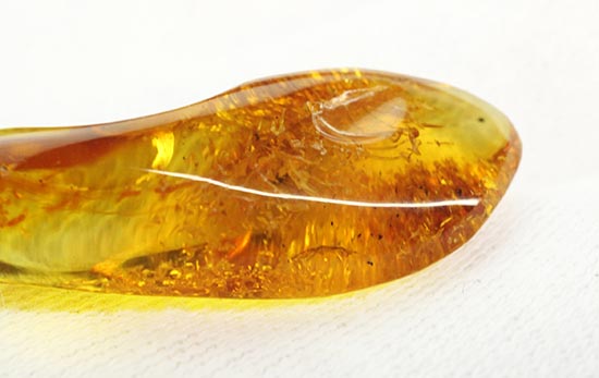 虫が一匹内包されています！バルト海産の虫入り琥珀(Amber)（その8）