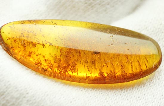 サービスプライス!バルト海産の虫入り琥珀(Amber)(その1)