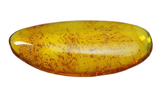 サービスプライス!バルト海産の虫入り琥珀(Amber)(その10)