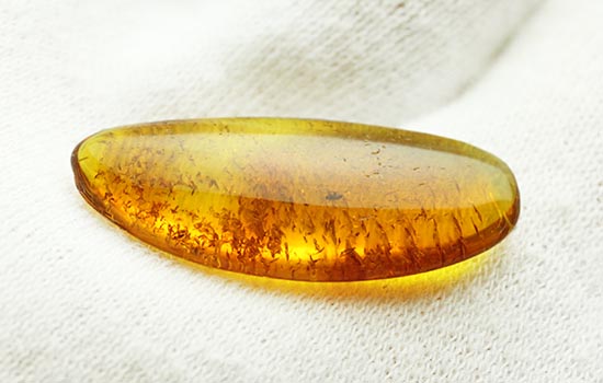 サービスプライス!バルト海産の虫入り琥珀(Amber)(その5)