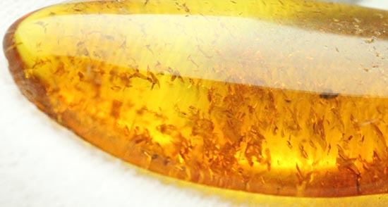 サービスプライス!バルト海産の虫入り琥珀(Amber)(その6)