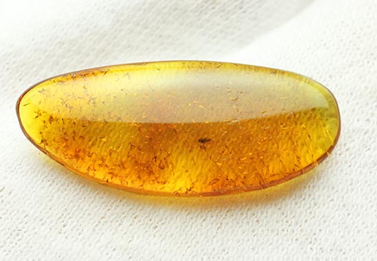 サービスプライス!バルト海産の虫入り琥珀(Amber)(その7)