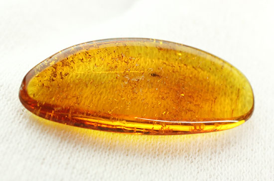 サービスプライス!バルト海産の虫入り琥珀(Amber)(その8)