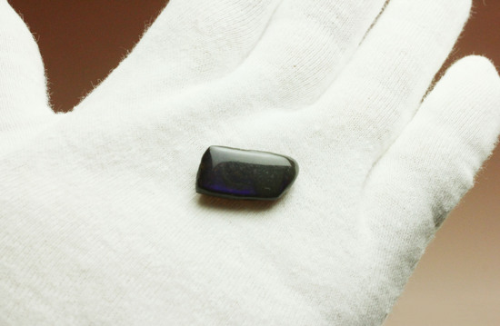 深い青と紫色が美しい、ドロップ型アンモライト化石(Ammolite)(その2)