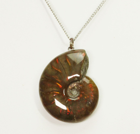 両面同程度に光ります!イリデッセンスアンモナイトのペンダントトップ(Ammonite)(その3)