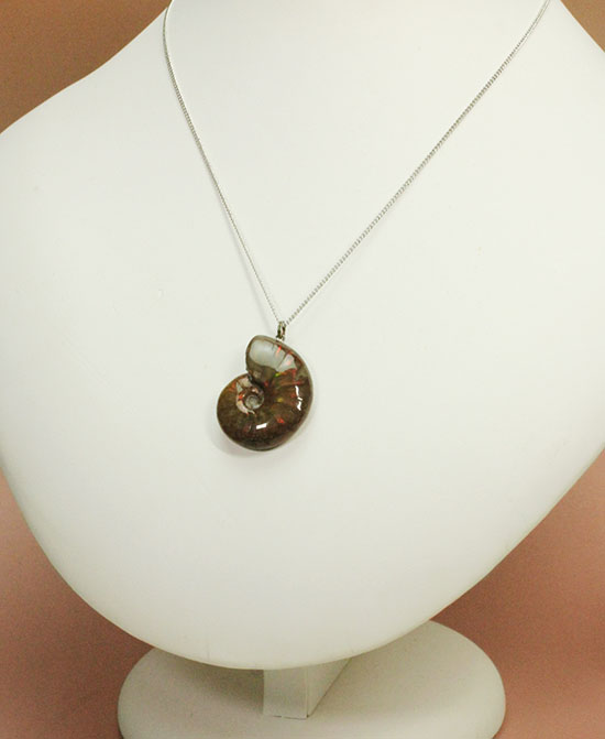 両面同程度に光ります!イリデッセンスアンモナイトのペンダントトップ(Ammonite)(その4)
