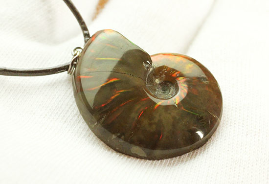 両面同程度に光ります!イリデッセンスアンモナイトのペンダントトップ(Ammonite)(その5)