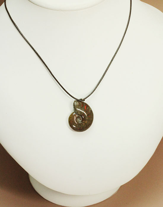 両面同程度に光ります!イリデッセンスアンモナイトのペンダントトップ(Ammonite)(その6)