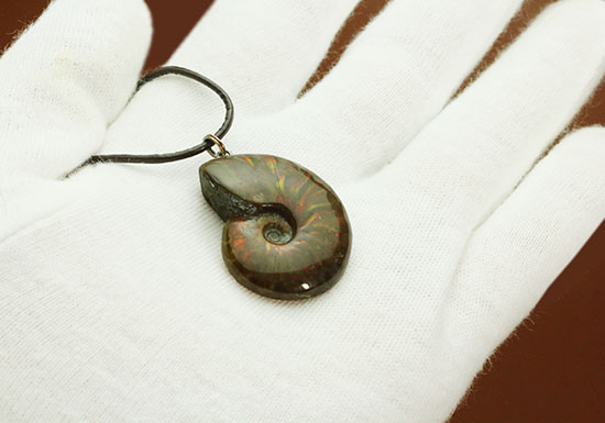 両面同程度に光ります!イリデッセンスアンモナイトのペンダントトップ(Ammonite)(その7)