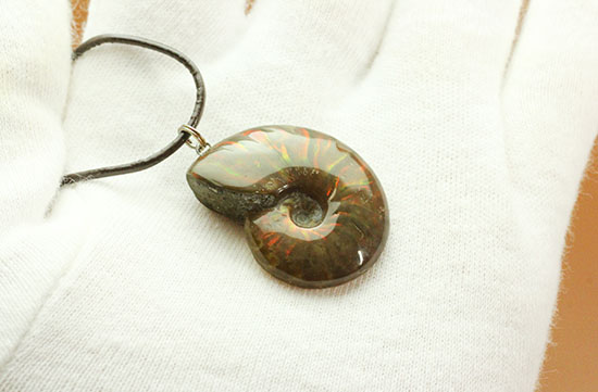 両面同程度に光ります!イリデッセンスアンモナイトのペンダントトップ(Ammonite)(その8)